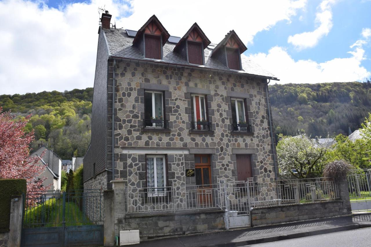 Petit Duplex De Charme Sous Les Toits Du Mont-Dore Kültér fotó